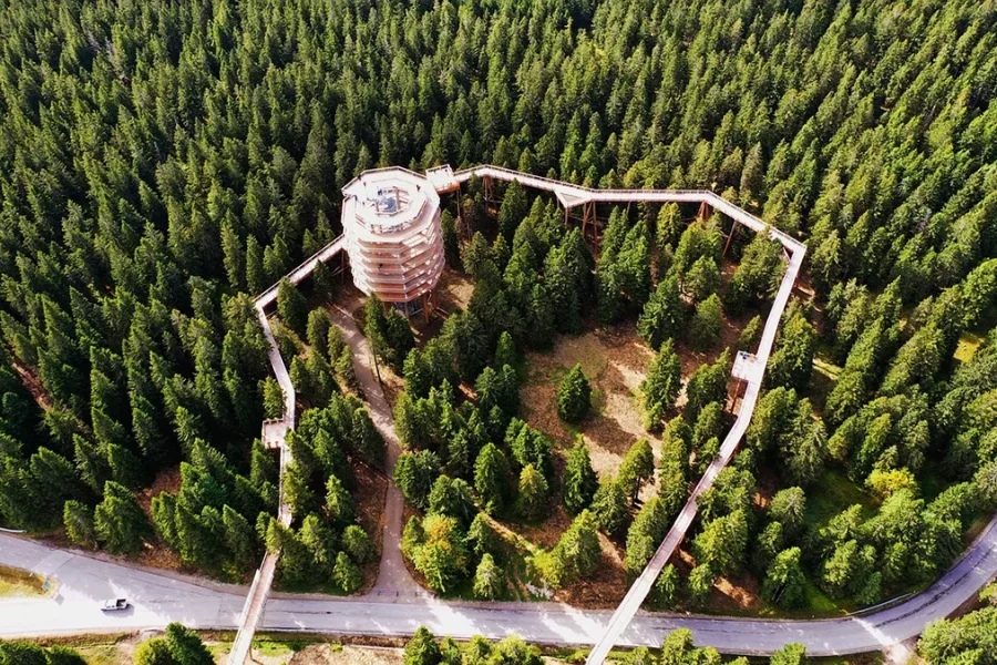 Izlet Put među krošnjama i Mini Zoo Slovenske Konjice iz Zagreba | 09.05.2026.