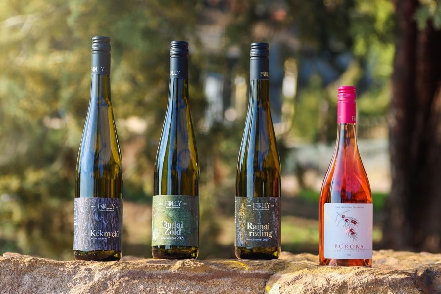 Zlatni Zvižduk: Ekskluzivni gastro doživljaj Balatona