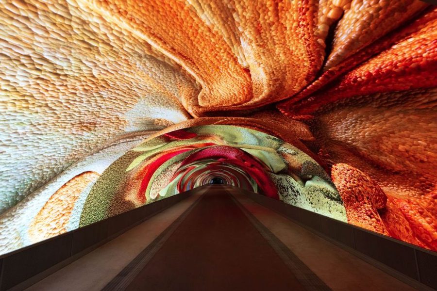 Jednodnevni izlet: Tajne dviju Gorica & Digitalni Art Tunnel